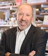 Richard Gallo, M.D.